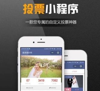 怎么找網站建設公司開發投票系統